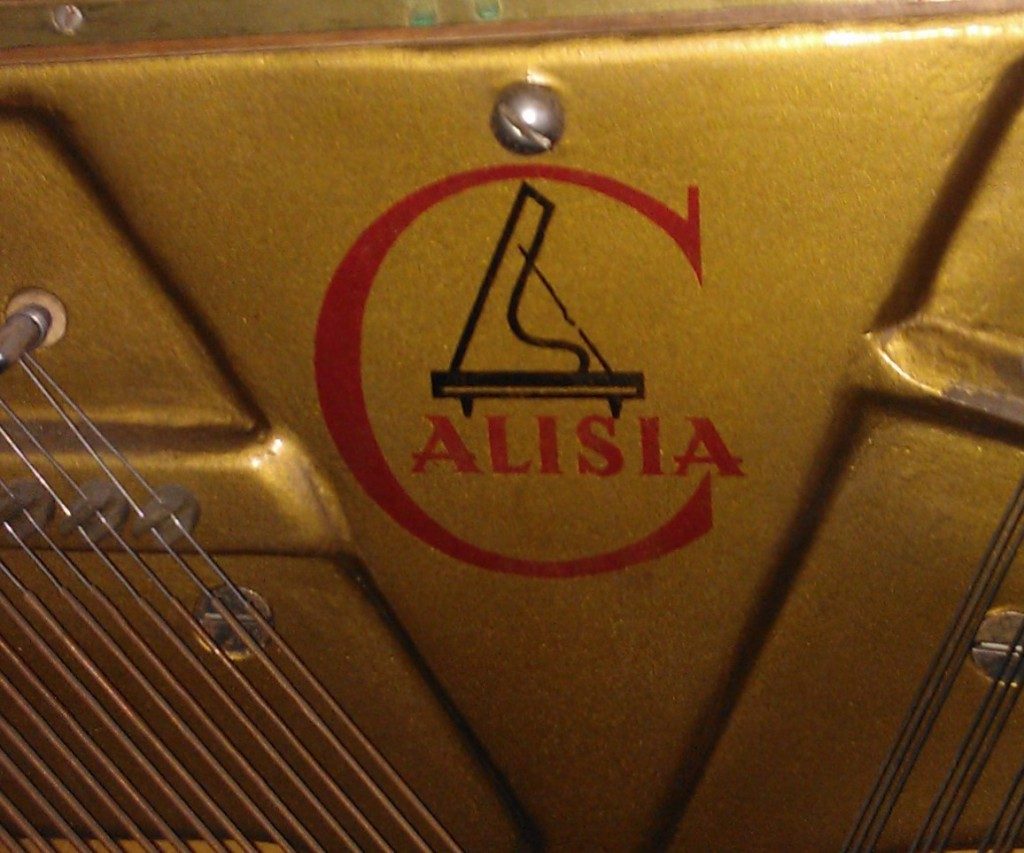 Calisia-2926-logo-1-1024x853